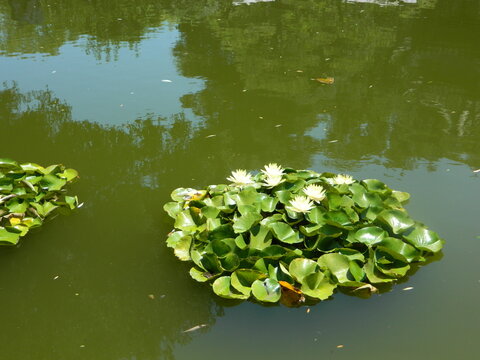 欧陆娱乐精彩游戏截图