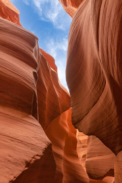 欧陆娱乐app下载红包活动