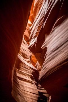 丰富的老虎机游戏主题